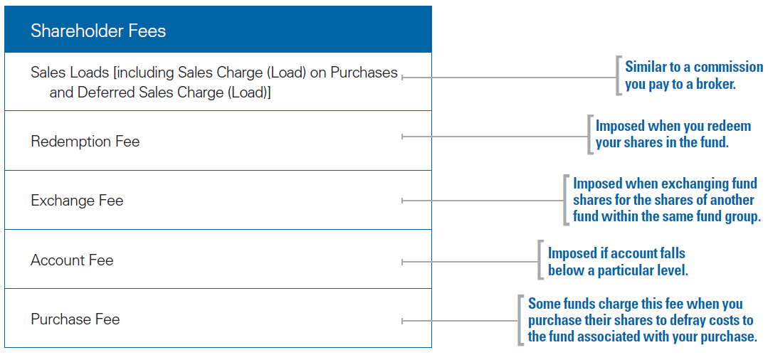 Shareholder Fees
